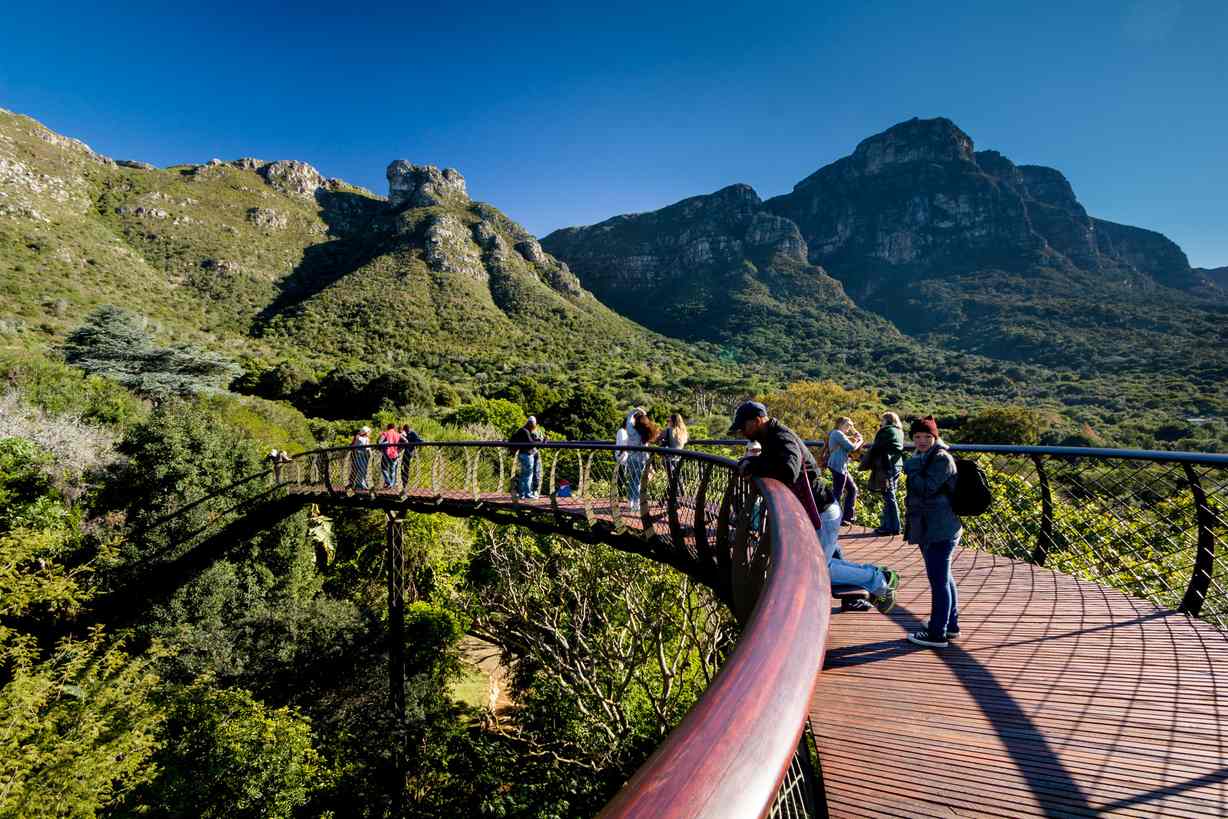 Cape Town Kirstenbosch Botanik Bahçesi