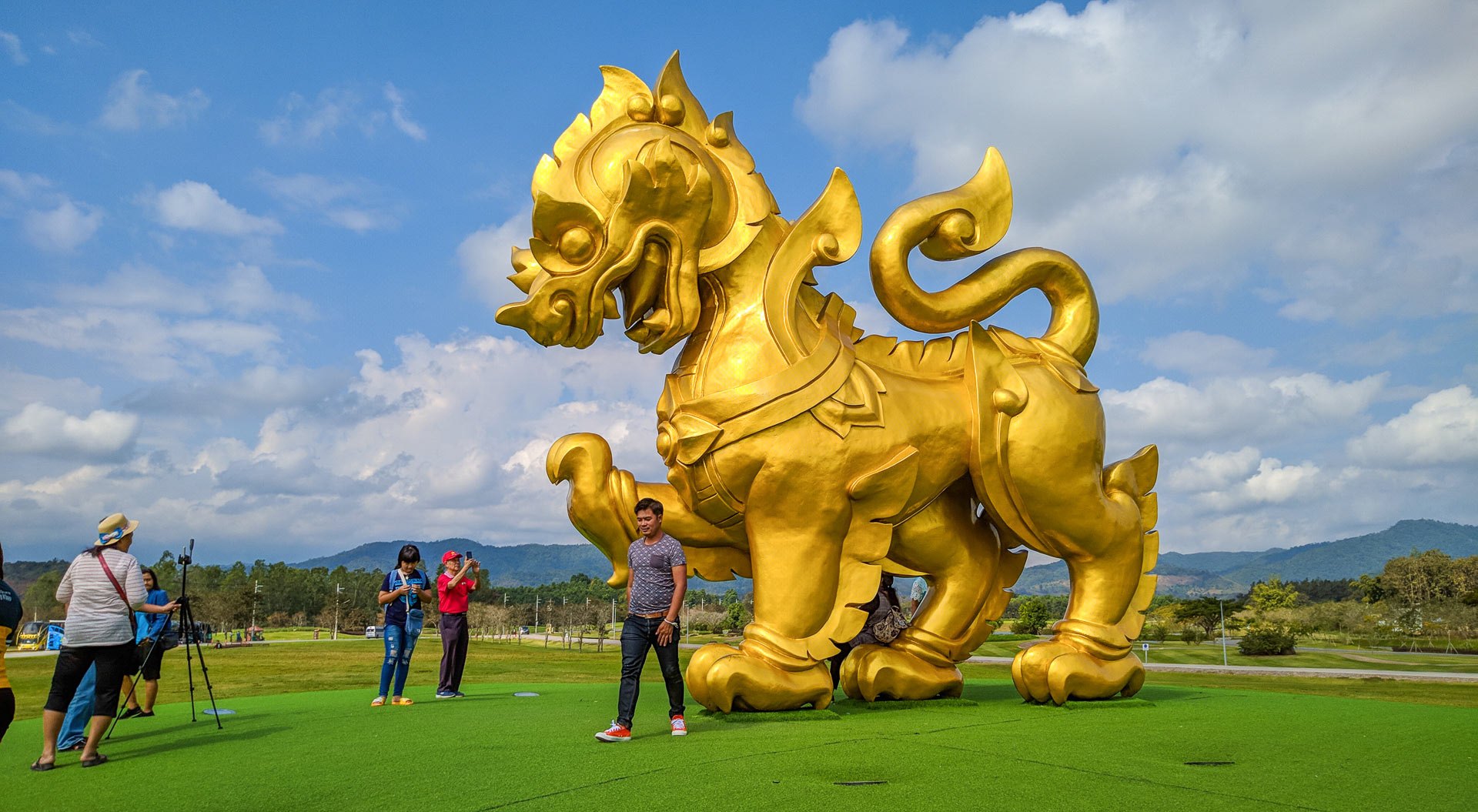 Singha Park & Çay Tarlaları