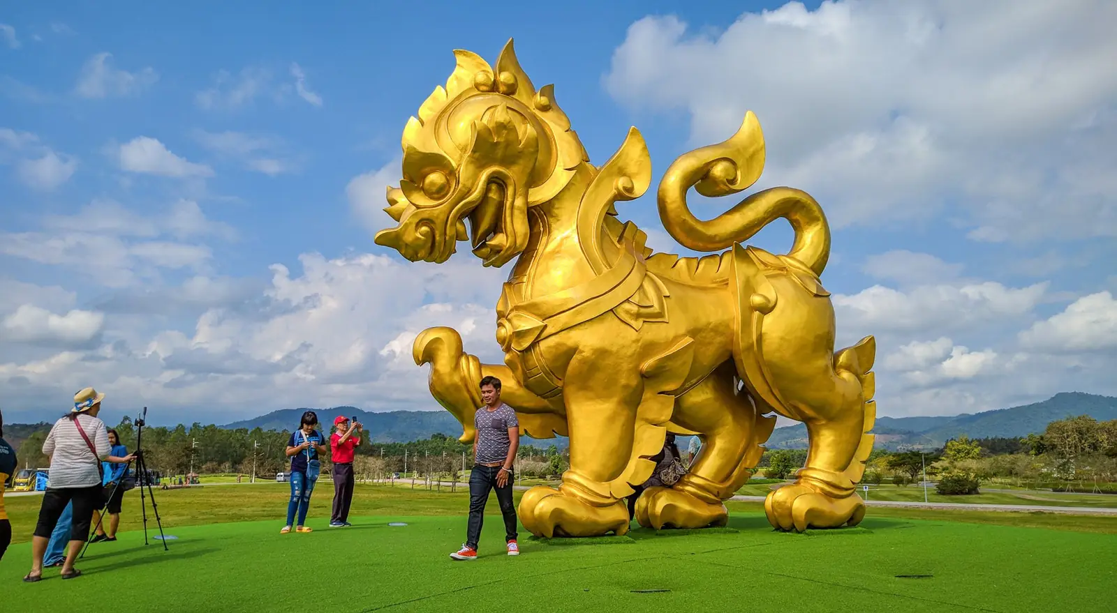 Singha Park & Çay Tarlaları