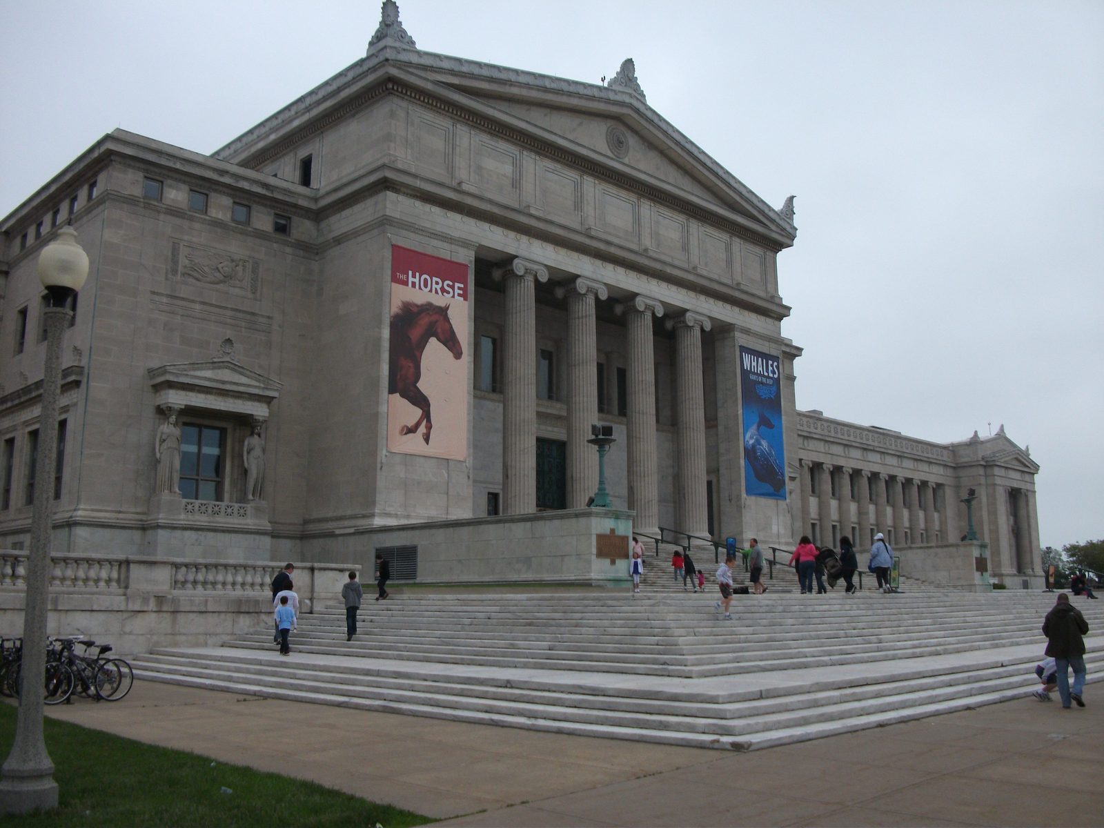Chicago Field Museum (Sue)