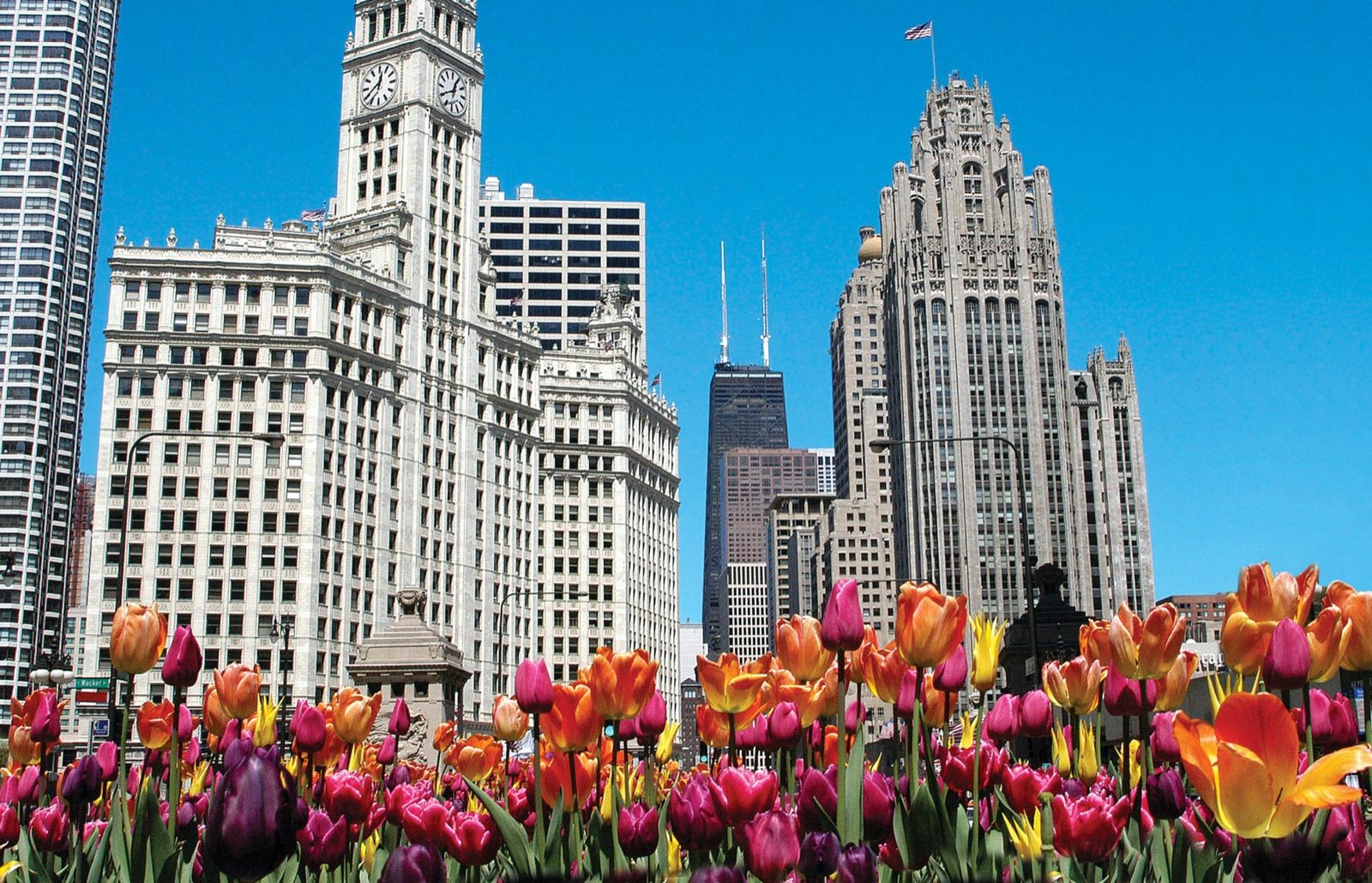 Chicago Magnificent Mile