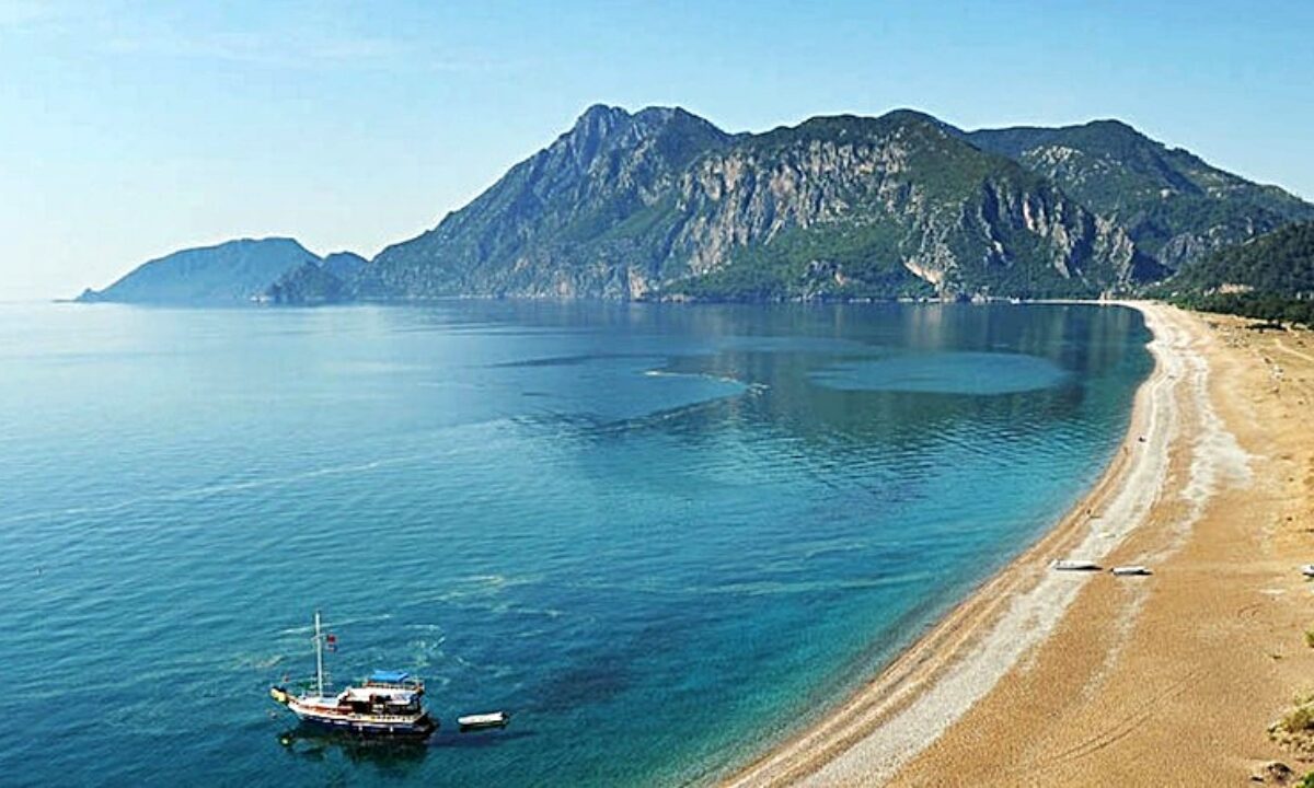 Caretta temalı el işi