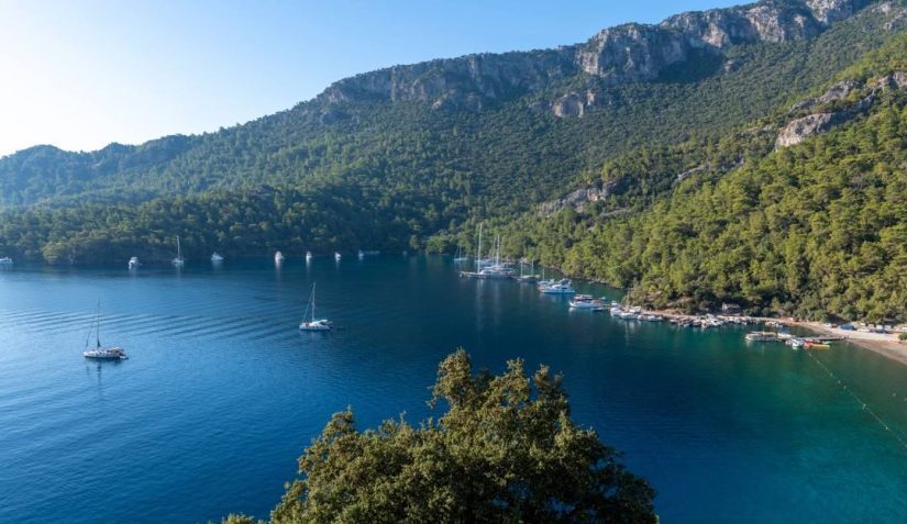 Sızma zeytinyağı