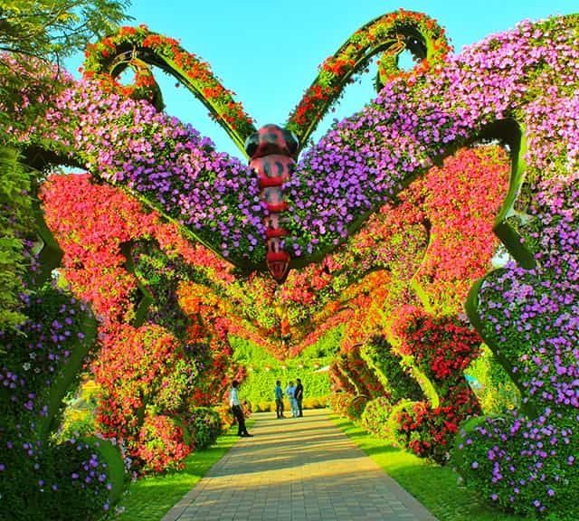 ucuzakesfet.com/dubai-miracle-garden-butterfly-garden