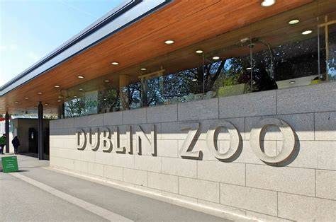 Dublin Phoenix Park + Dublin Zoo