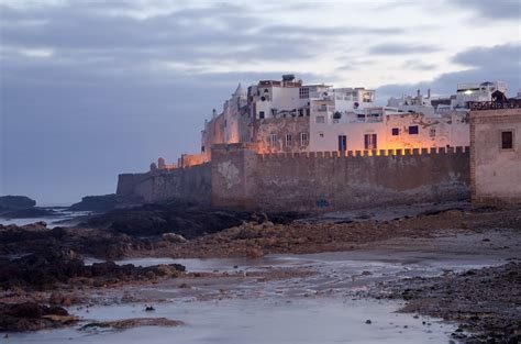 Essaouira Mogador Adası (Îles Purpuraires)