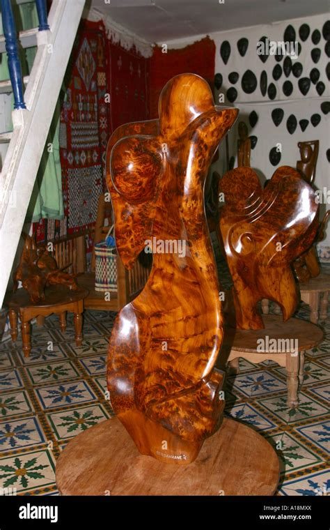 Thuya ağacı işleri