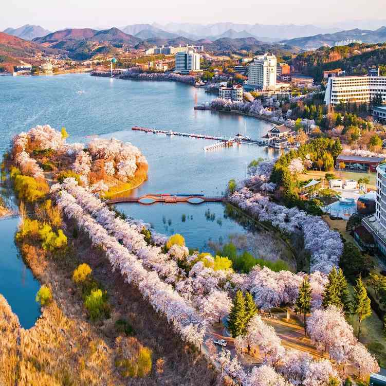 Bomun Gölü & Gyeongju Dünya Kültür Sarayı