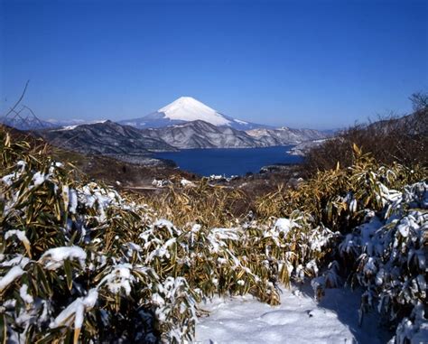 Hakone Gora