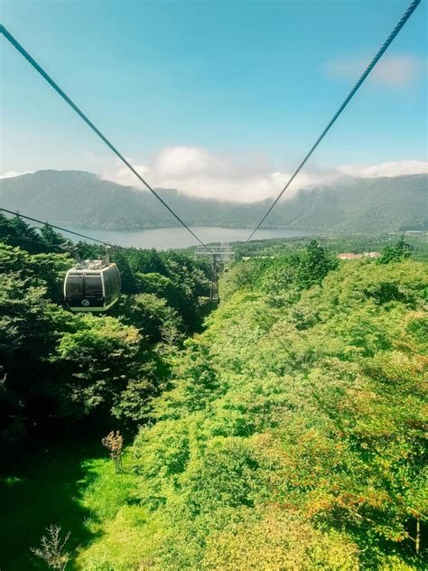 Hakone Hakone Eski Geçit Yolu + Sedir Caddesi