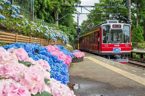 Hakone Hakone Tozan Dağ Treni