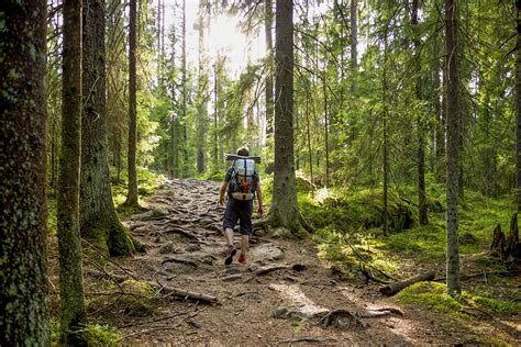 Nuuksio Milli Parkı