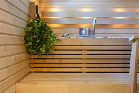 Sauna ürünleri (vihta)