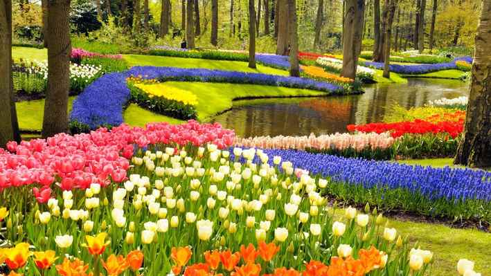 Keukenhof (lale bahçesi, mevsimlik)