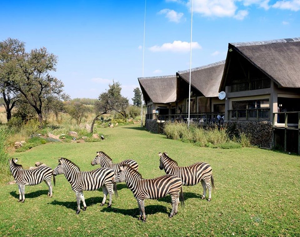 Lion & Safari Park
