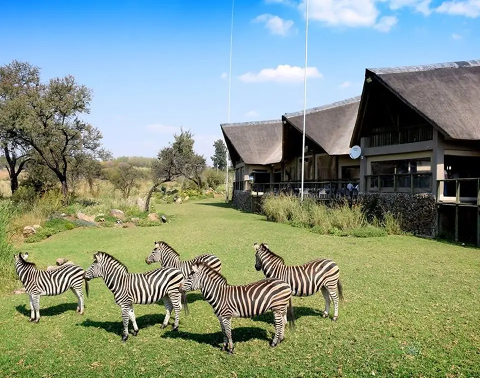 Lion & Safari Park