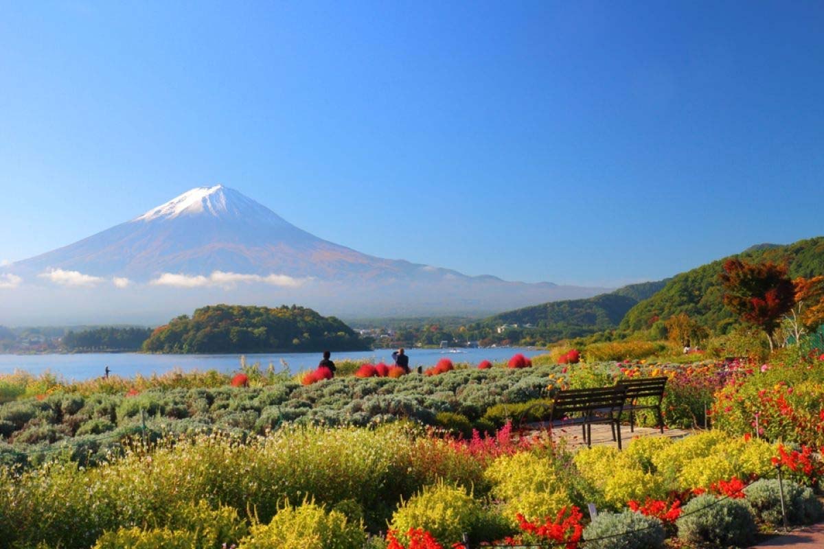 Oishi Park (Göl Kuzey Kıyısı)