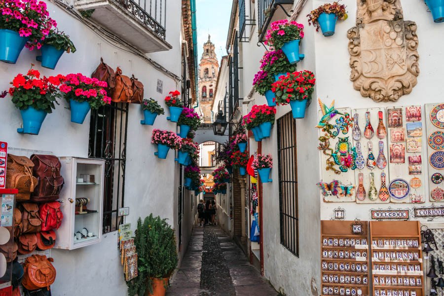 Calleja de las Flores