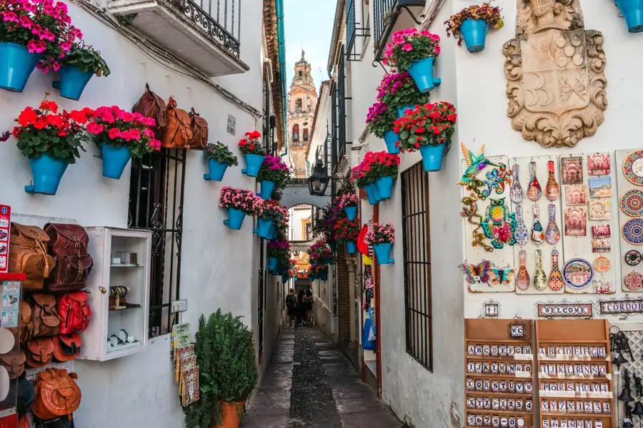 Calleja de las Flores