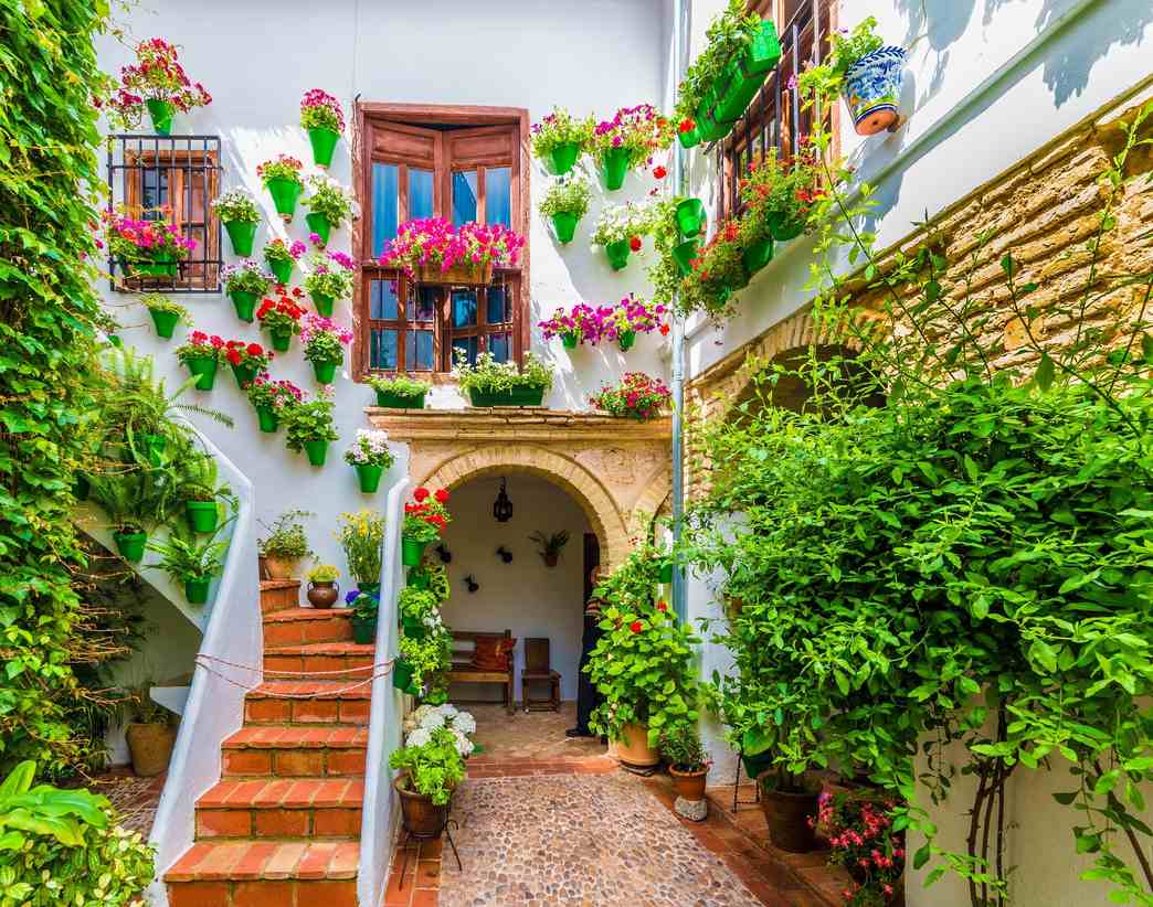 Patios de San Basilio (Avlular)