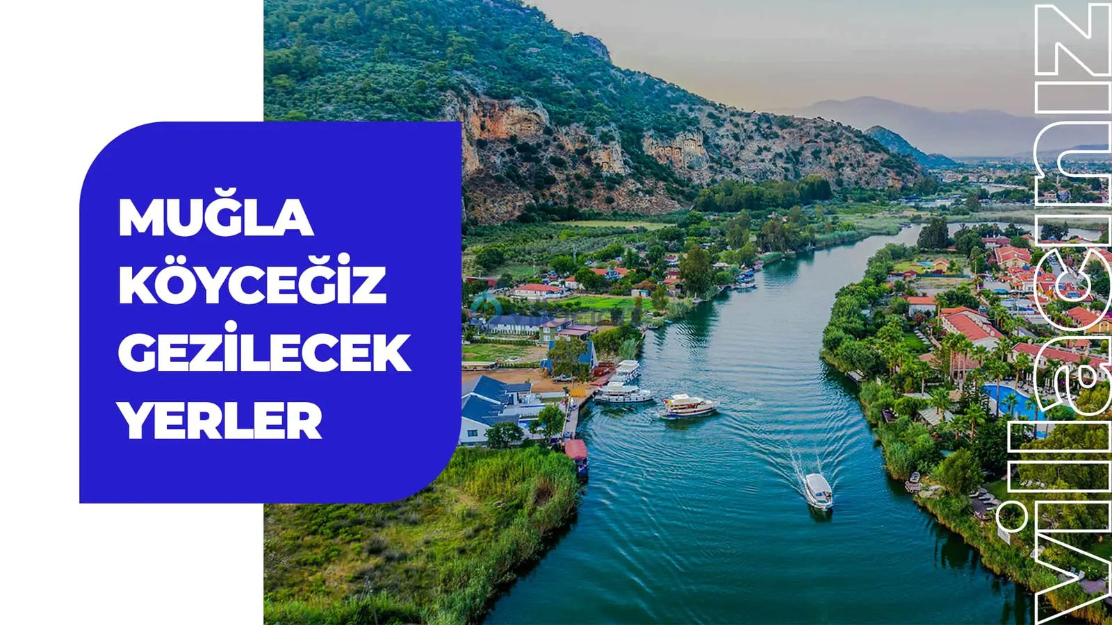 Ege otları + zeytinyağlı