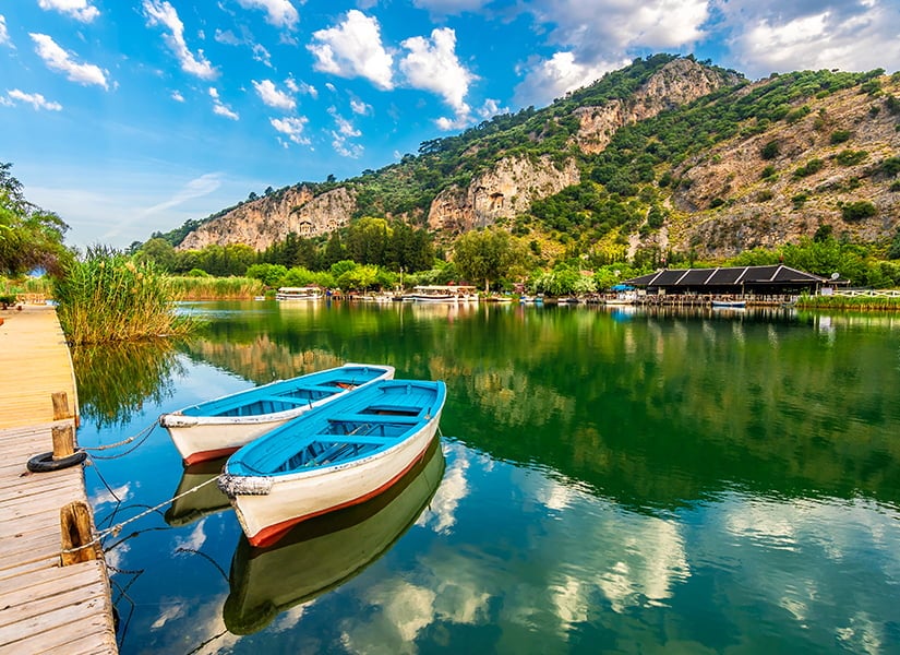 Mavi yengeç