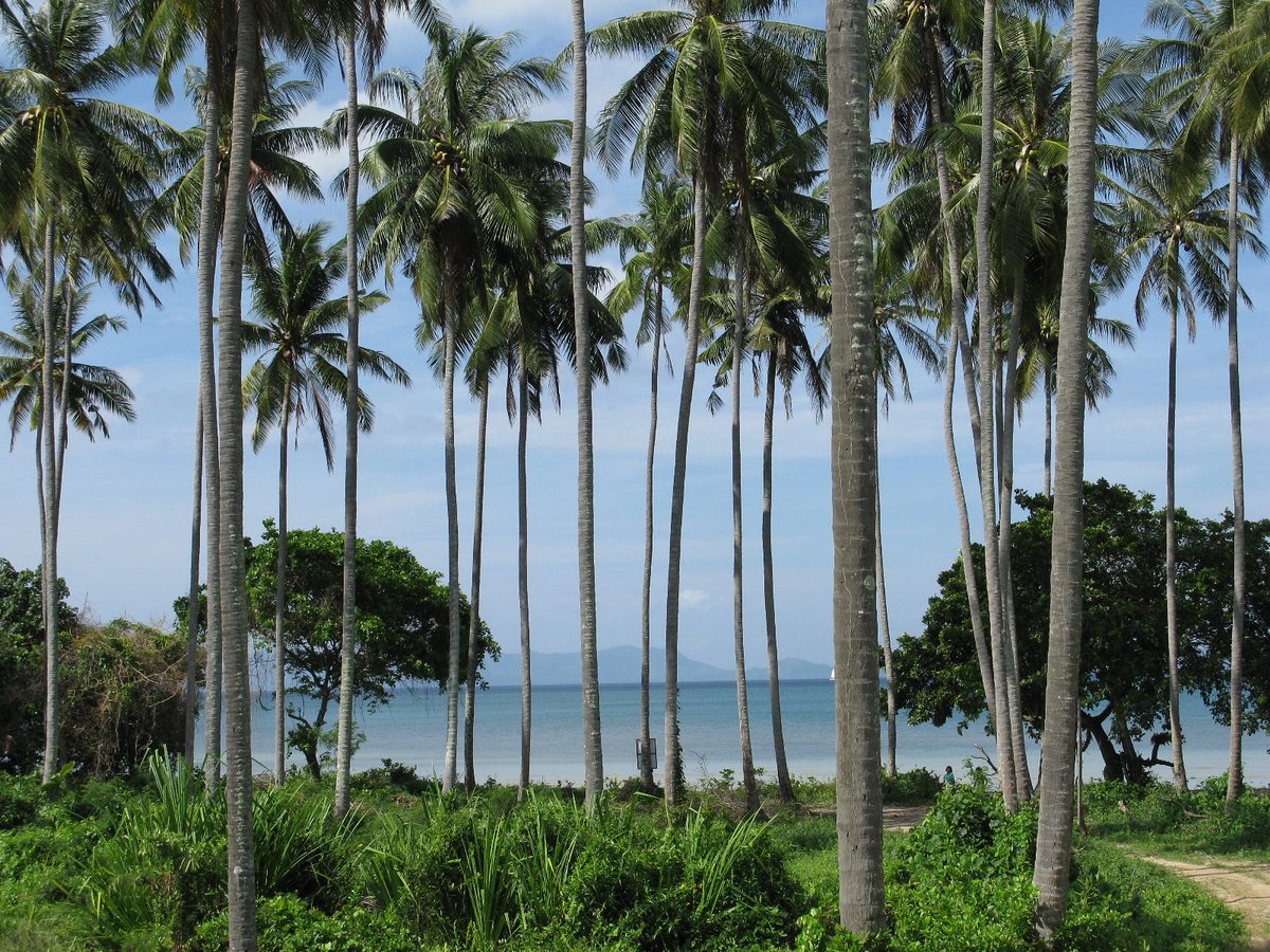 ucuzakesfet.com/krabi-17