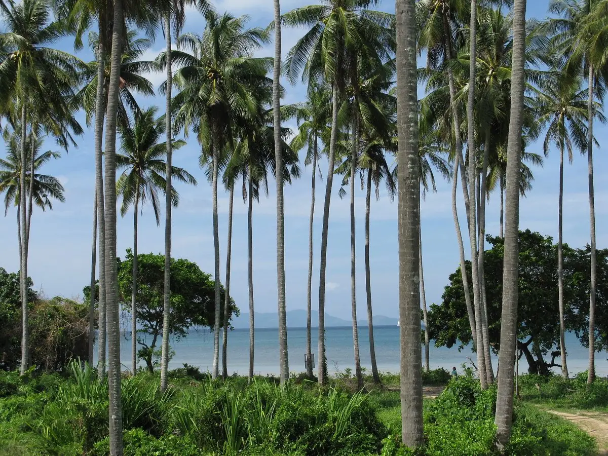 Krabi: 17