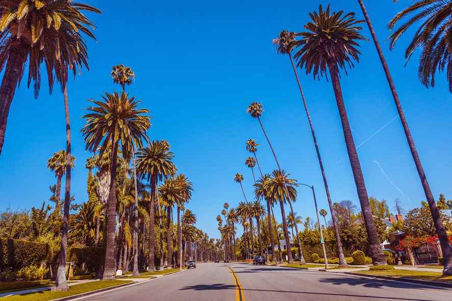 Beverly Hills & Rodeo Drive