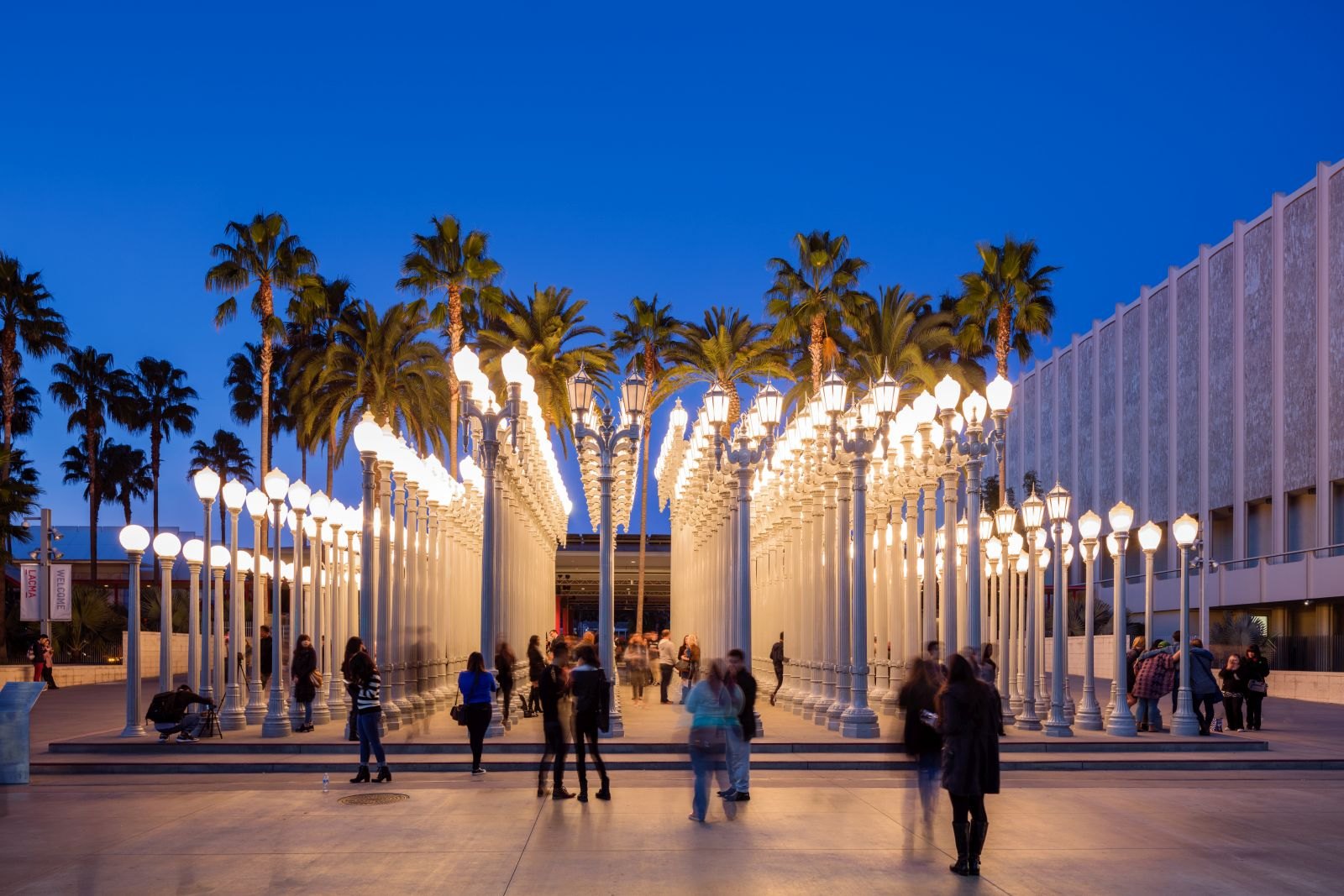 LACMA & Tar Pits (Museum Row)