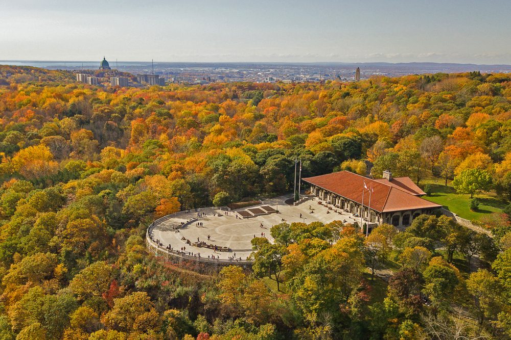 Montreal Plateau-Mont-Royal