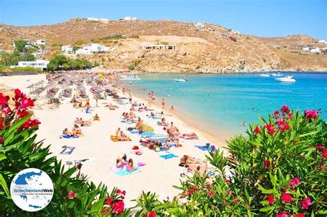 Mykonos Paradise & Super Paradise Plajları