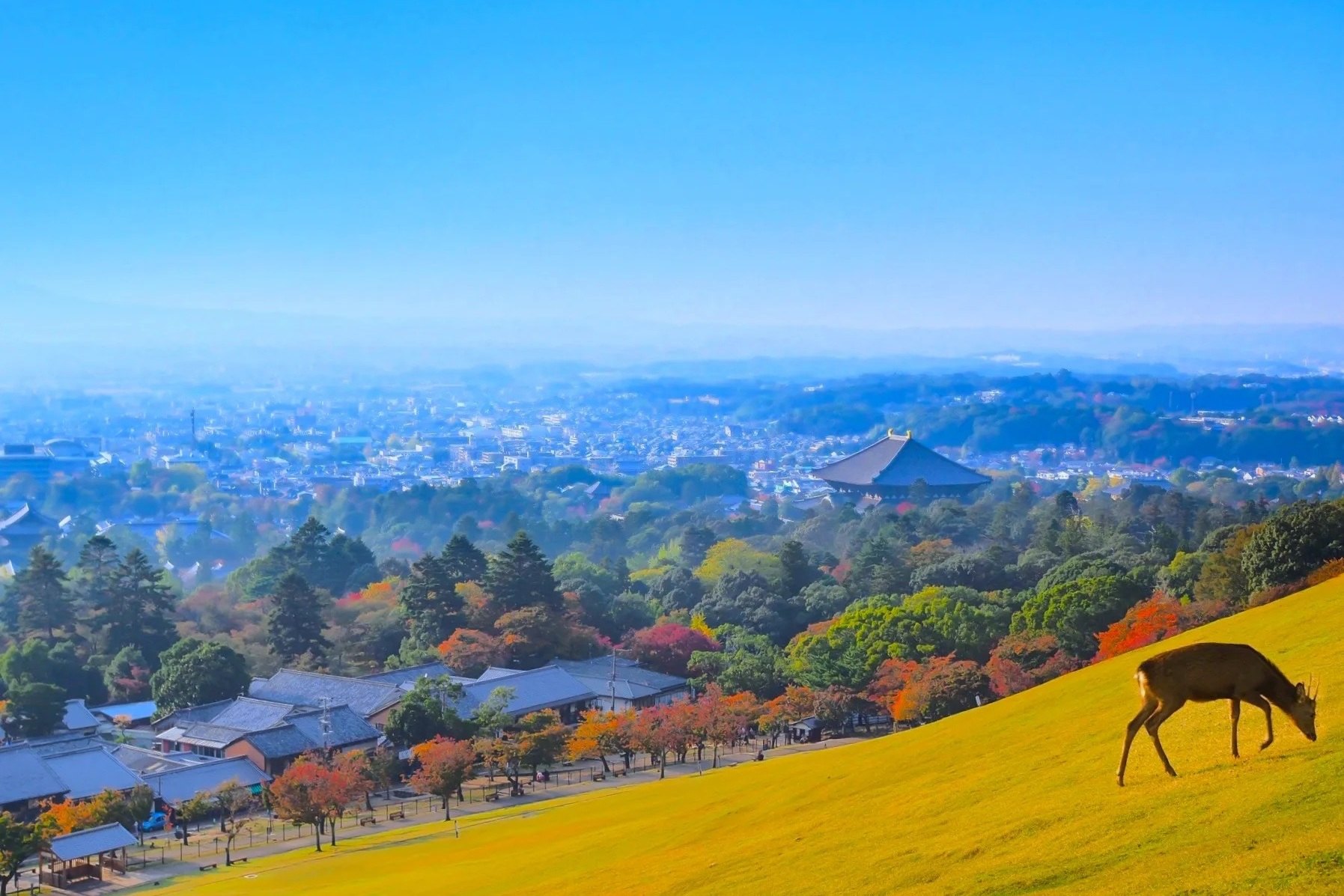 Mount Wakakusa