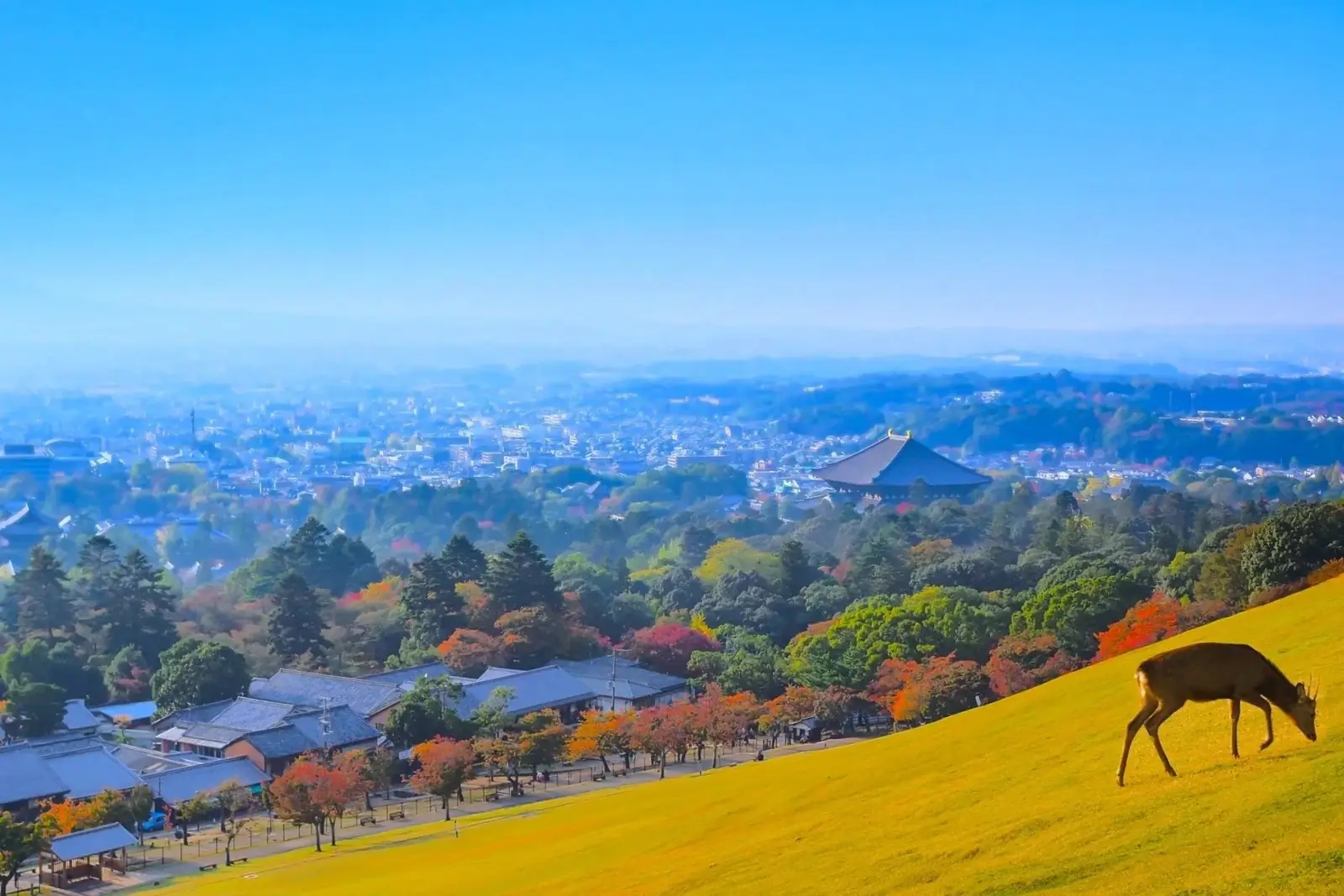 Mount Wakakusa