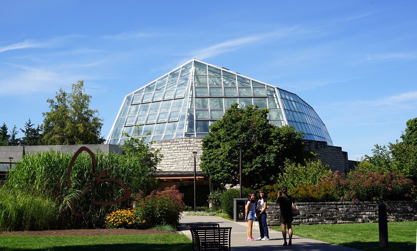 Niagara Butterfly Conservatory
