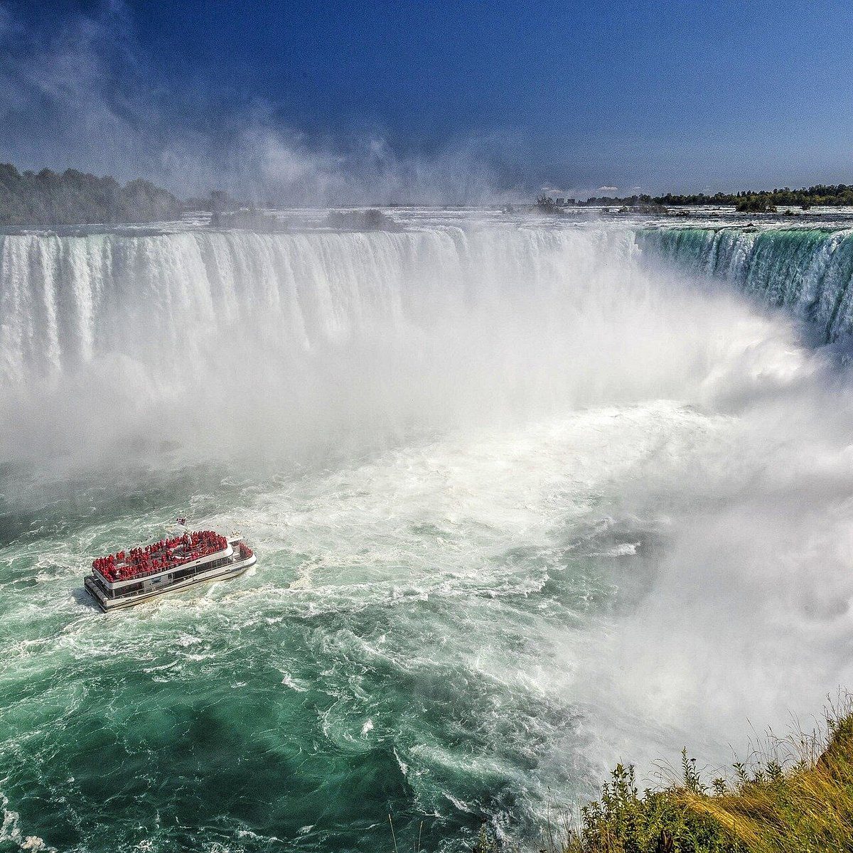 Buffalo (ABD)