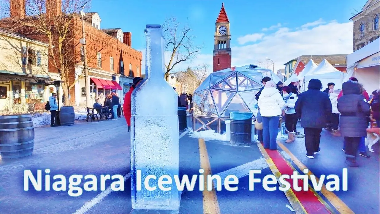Icewine + yerel peynir