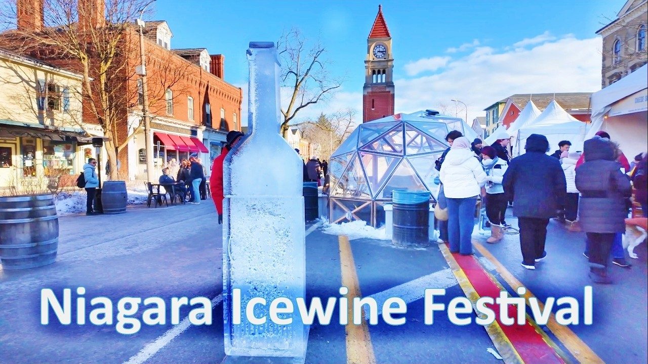 Icewine (buz şarabı)