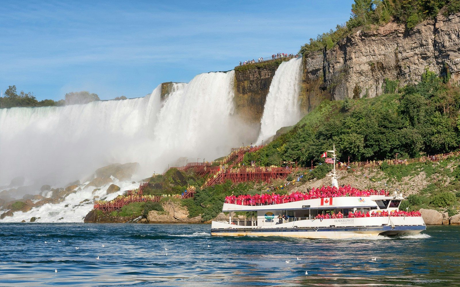 Niagara Niagara City Cruises (tekne turu)