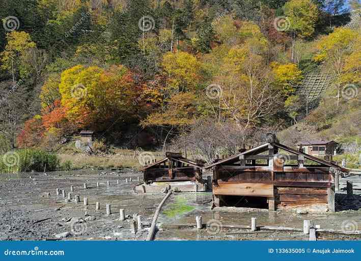 Yumoto Onsen & Senjogahara Yaylası