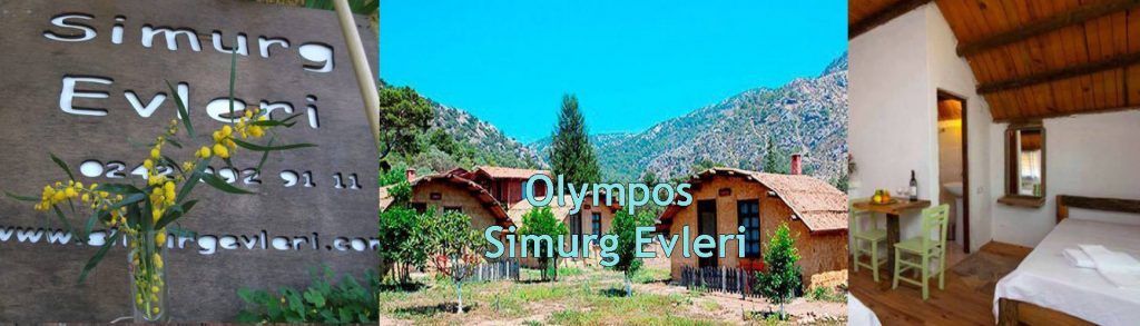 Olympos Ağaç Ev Pansiyonlar Bölgesi