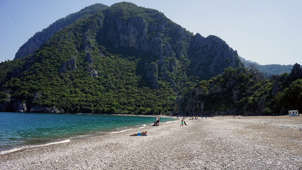 Çam / çiçek balı
