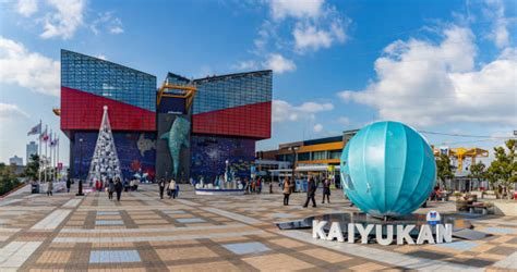 Osaka Osaka Akvaryumu Kaiyukan
