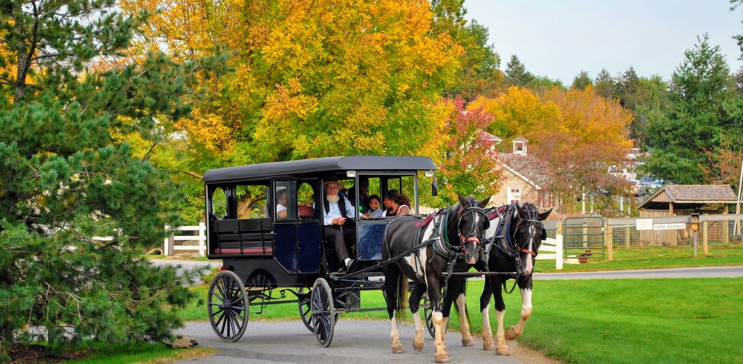 Amish el sanatları + reçel