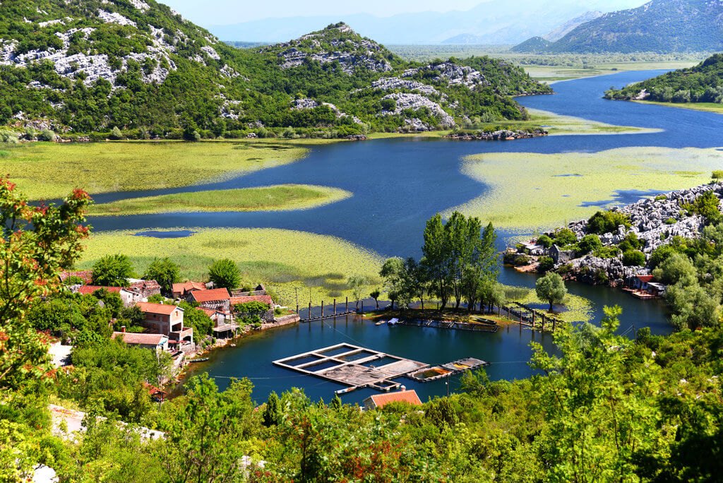 Skadar Gölü Milli Parkı (günübirlik)