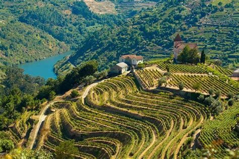 Douro Vadisi (Pinhão/Régua)