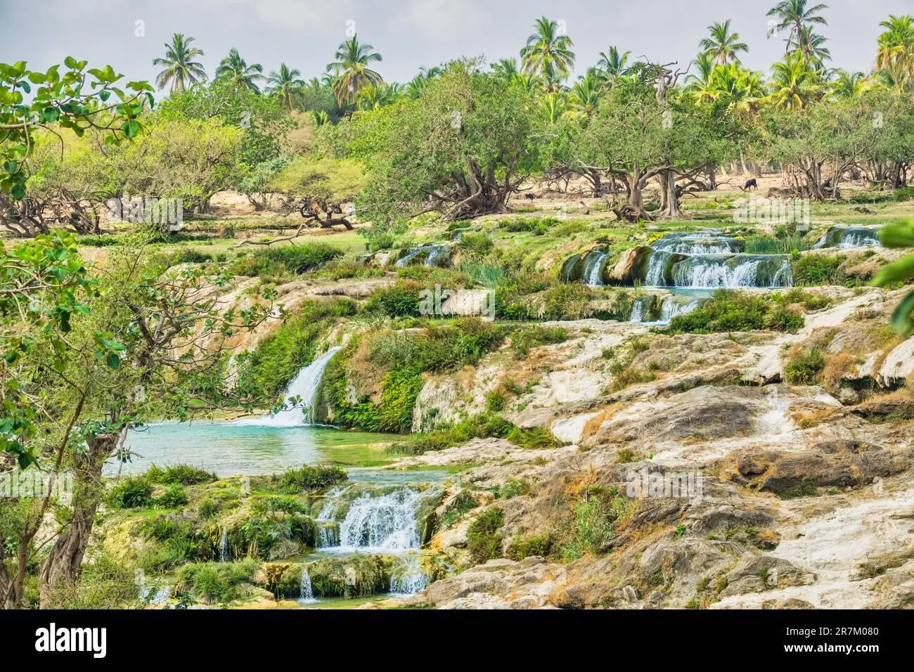 Salalah