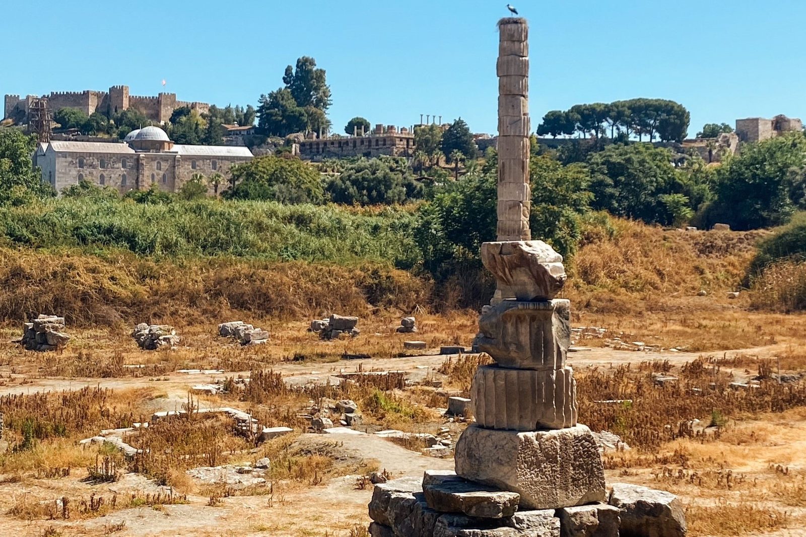 Selçuk Artemis Tapınağı