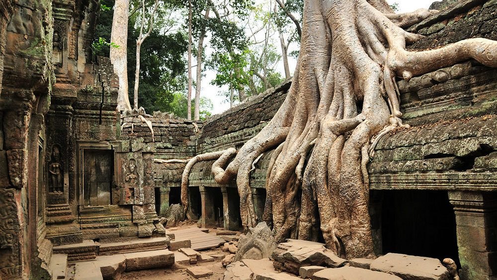 Ta Prohm (Tomb Raider Tapınağı)