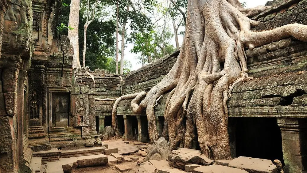 Ta Prohm (Tomb Raider Tapınağı)